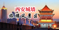 大胸叉大雷中国陕西-西安城墙旅游风景区